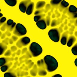 bobSpores